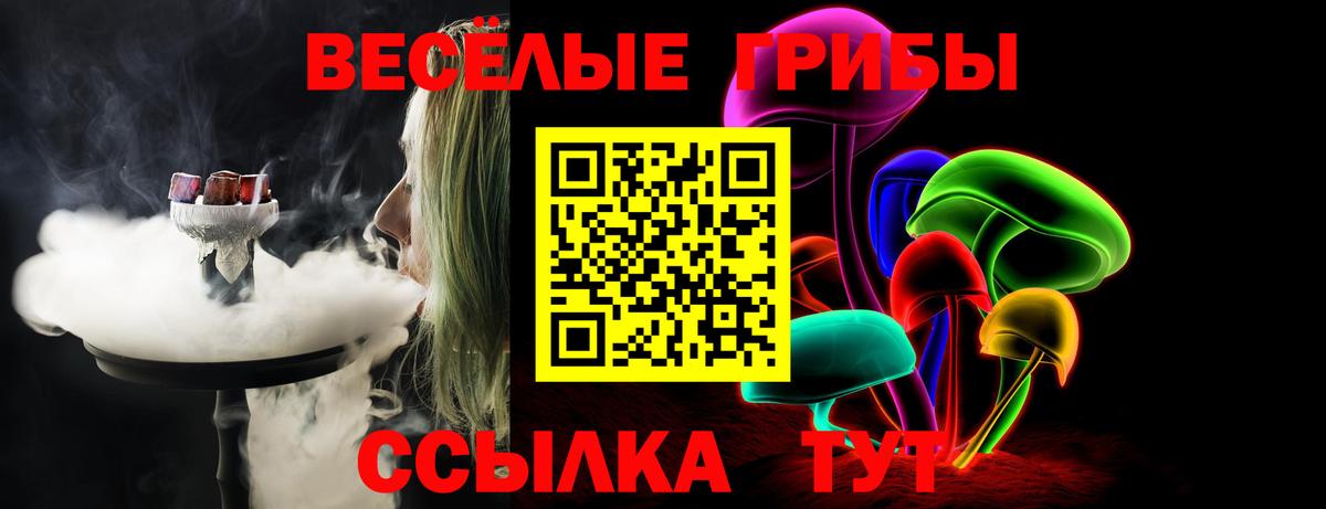 Галлюциногенные грибы Magic Shrooms Владивосток